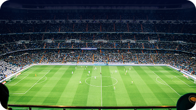field-bg