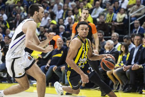 Παρτιζάν – Φενερμπαχτσέ Live Streaming