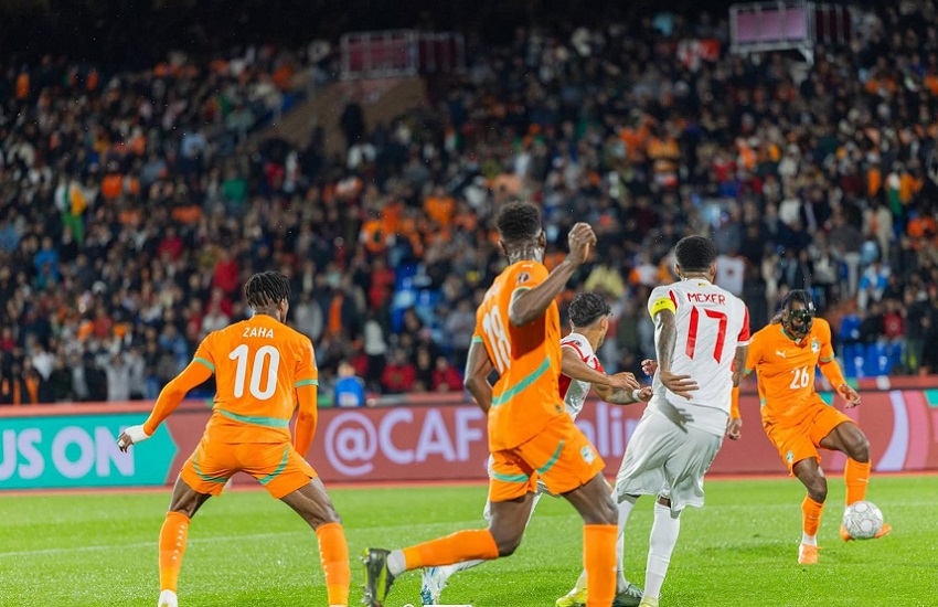 Διαλέγουν κλαδί από το δέντρο